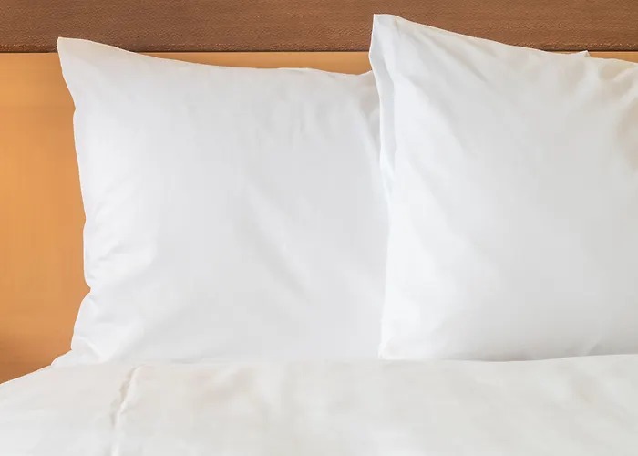 Holiday Inn - Brownsville By Ihg